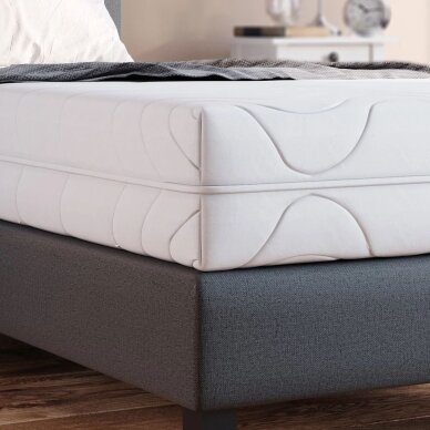 7 zonų šalto putplasčio čiužinys CALMA COMFORT PLUS, 20 x 80 x 200 cm 2