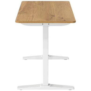 CARRYHOME stalviršis elektriniam reguliuojamo aukščio stalui, 120 x 80 cm 2