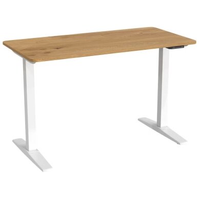 CARRYHOME stalviršis elektriniam reguliuojamo aukščio stalui, 120 x 80 cm 1