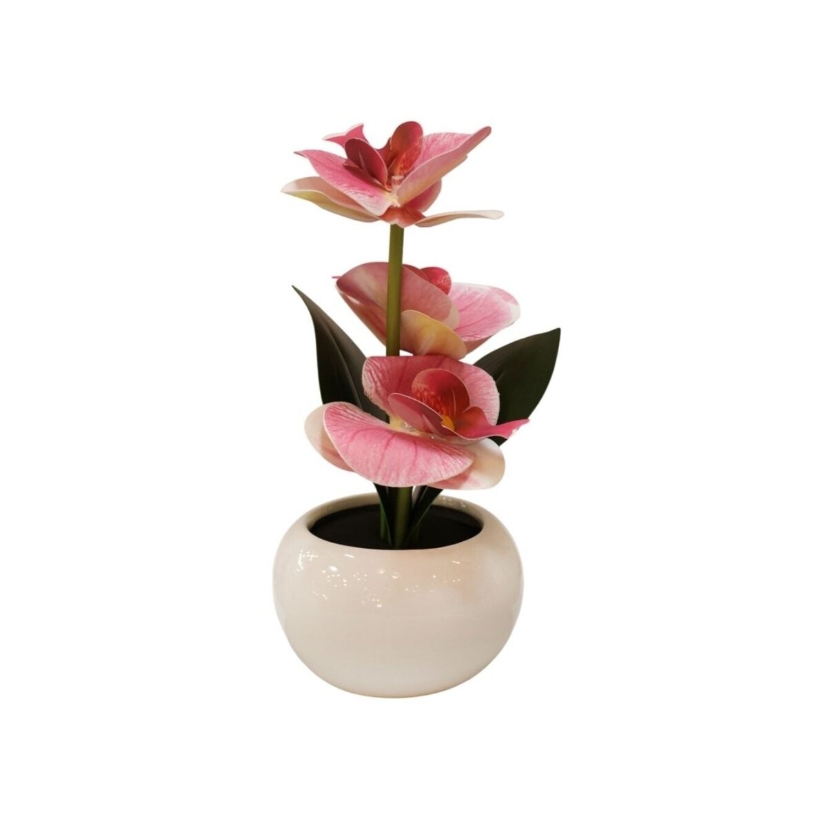 Dekoratyvinis augalas vazonėlyje – Orchidėja su LED Dekoratyvinis augalas vazonėlyje – Orchidėja su LED