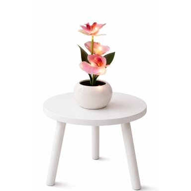Dekoratyvinis augalas vazonėlyje – Orchidėja su LED