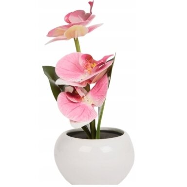 Dekoratyvinis augalas vazonėlyje – Orchidėja su LED