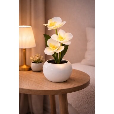 Dekoratyvinis augalas vazonėlyje – Orchidėja su LED