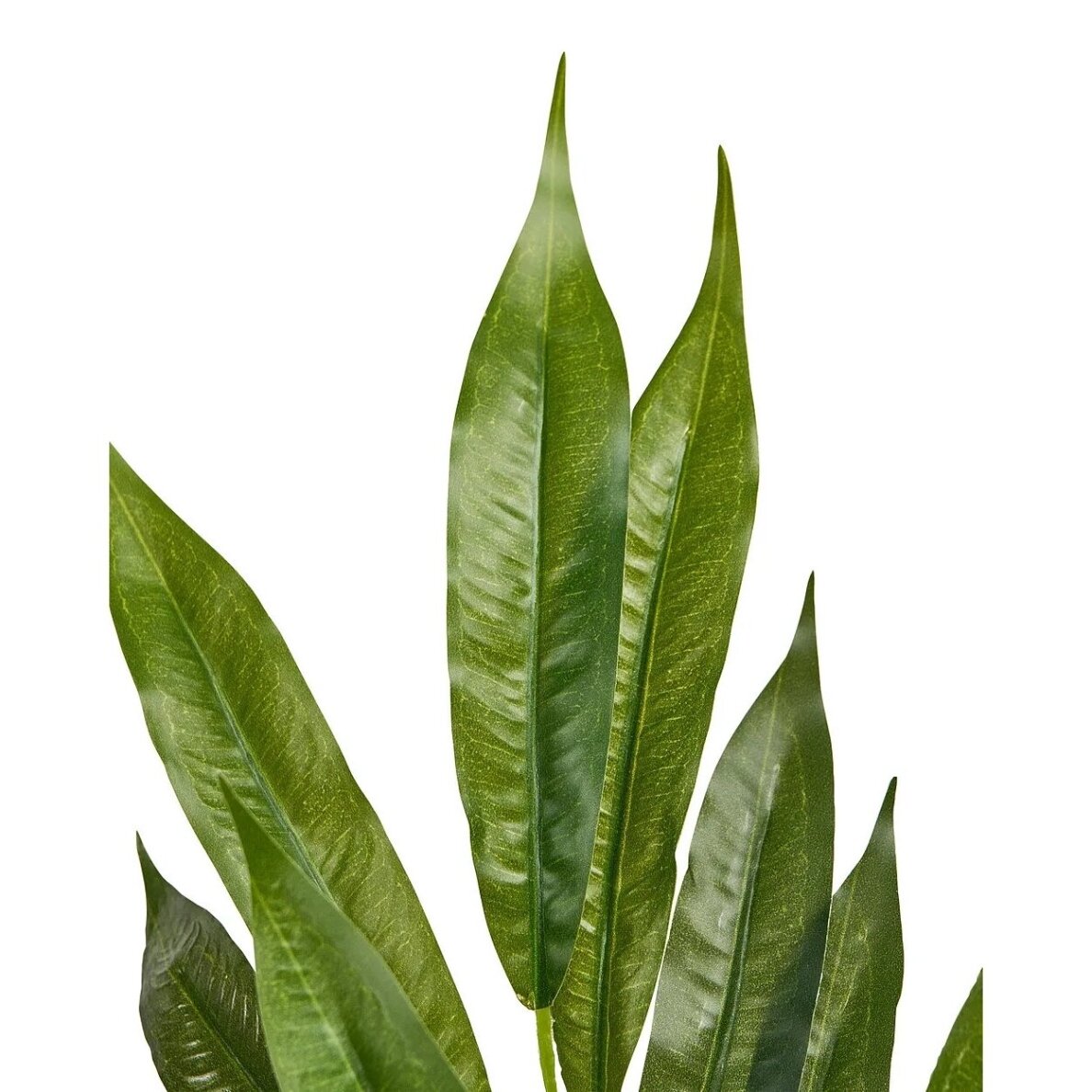 Dirbtinis augalas vazone su tikros medienos kamienu WILLOW TREE, 180 cm 3 Dirbtinis augalas vazone su tikros medienos kamienu WILLOW TREE, 180 cm 3