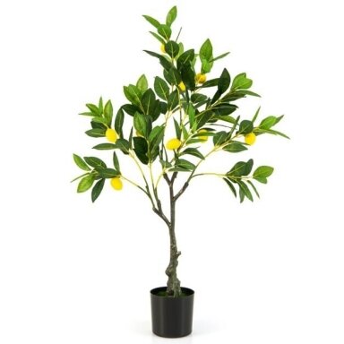 Dirbtinis augalas Citrinmedis vazone su tikros medienos kamienu, 80 cm