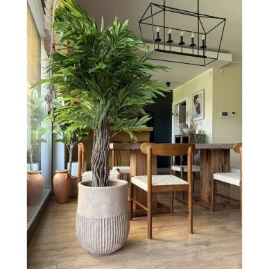 Dirbtinis augalas vazone su tikros medienos kamienu WILLOW TREE, 180 cm 2 Dirbtinis augalas vazone su tikros medienos kamienu WILLOW TREE, 180 cm 2