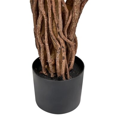 Dirbtinis augalas vazone su tikros medienos kamienu WILLOW TREE, 180 cm 4