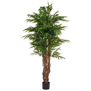 Dirbtinis augalas vazone su tikros medienos kamienu WILLOW TREE, 180 cm Dirbtinis augalas vazone su tikros medienos kamienu WILLOW TREE, 180 cm