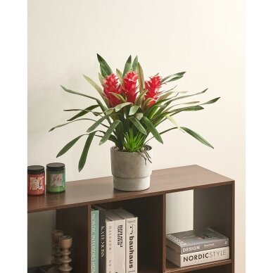Dirbtinė gėlė GURMANIA, 50 cm 1 Dirbtinė gėlė GURMANIA, 50 cm 1
