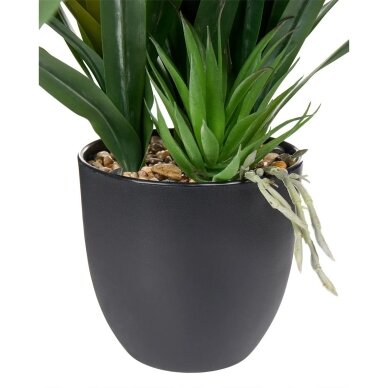Dirbtinė gėlė GURMANIA, 50 cm 3