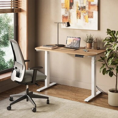 Elektrinis reguliuojamo aukščio stalo rėmas ELEVATE, 102 - 180 cm (Ekspozicinė prekė) 1 Elektrinis reguliuojamo aukščio stalo rėmas ELEVATE, 102 - 180 cm (Ekspozicinė prekė) 1