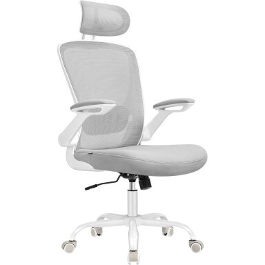 Ergonominė biuro kėdė
