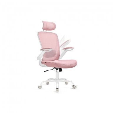 Ergonominė biuro kėdė