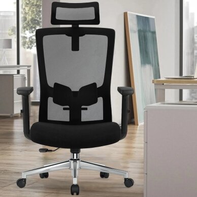 Ergonominė biuro kėdė 1