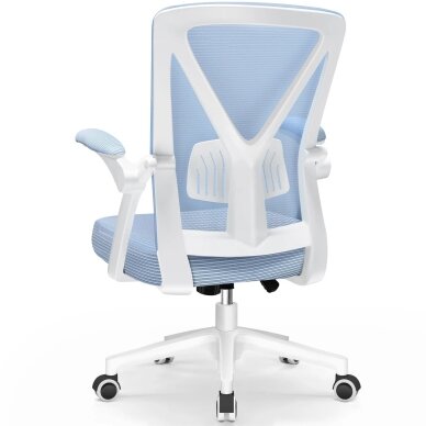 Ergonominė biuro kėdė