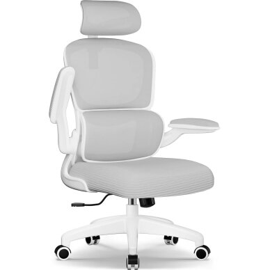Ergonominė biuro kėdė Ergonominė biuro kėdė