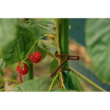 GARDENLINE augalų tvirtinimo dirželiai, 20 cm, 18 vnt