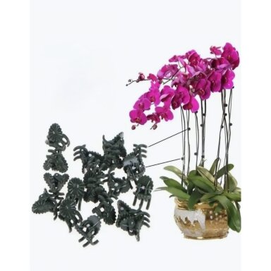 GARDENLINE segtukai augalams  Ø 6,5 mm, 20 vnt