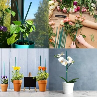 GARDEN TOUCH medinės augalų atramos 40 cm, 50 vnt 2