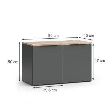 Pastatoma spintelė su durelėmis WIDO 6 Pastatoma spintelė su durelėmis WIDO 6
