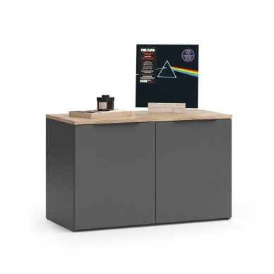 Pastatoma spintelė su durelėmis WIDO Pastatoma spintelė su durelėmis WIDO