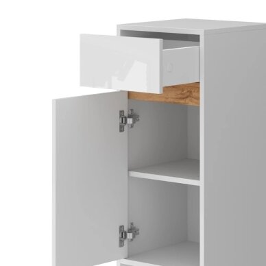 Pastatoma spintelė DETMOLD 5 Pastatoma spintelė DETMOLD 5