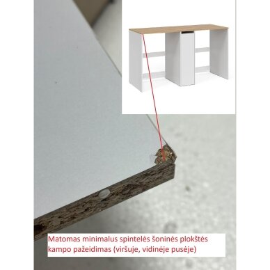 Skalbimo mašinos spintelė VIKTOR (Transportavimo defektas) 6
