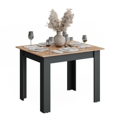 Valgomojo stalas REPOSE, 76 x 100/140 x 80 cm